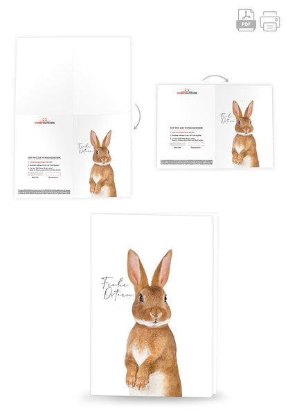 Frohe Ostern - Osterhase